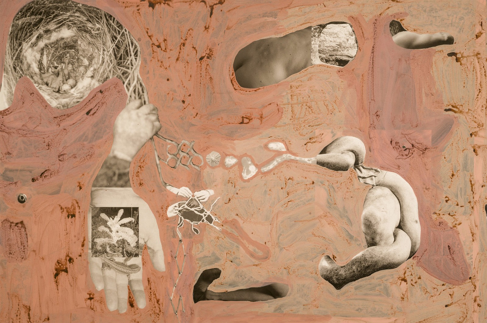 圖十二、《地勢 (關于時間，關于身體)》 (細節(jié)圖)，O?zlem Alt?n，2019